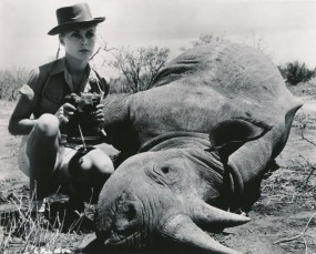 JANET-LEIGH-Rhino-Original-CANDID-Africa-Safari-Set